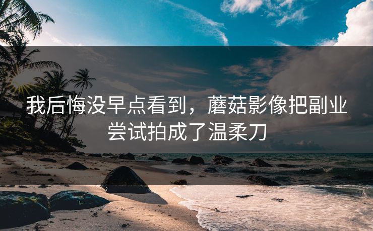 我后悔没早点看到，蘑菇影像把副业尝试拍成了温柔刀