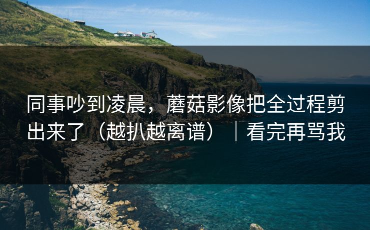 同事吵到凌晨，蘑菇影像把全过程剪出来了（越扒越离谱）｜看完再骂我