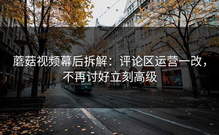 蘑菇视频幕后拆解：评论区运营一改，不再讨好立刻高级
