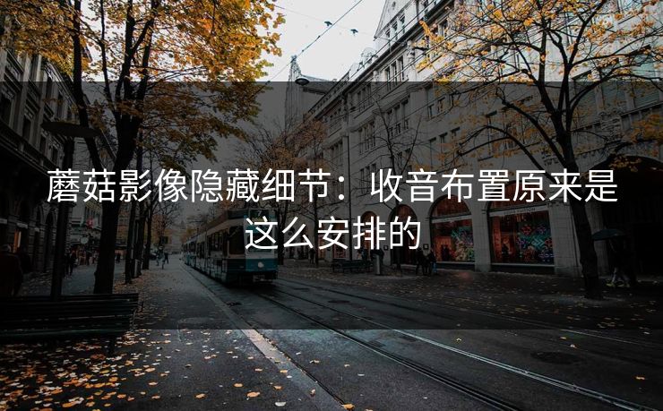蘑菇影像隐藏细节：收音布置原来是这么安排的