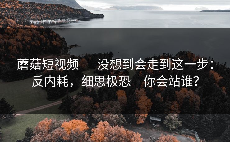 蘑菇短视频 ｜ 没想到会走到这一步：反内耗，细思极恐｜你会站谁？