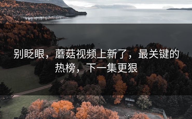 别眨眼，蘑菇视频上新了，最关键的热榜，下一集更狠