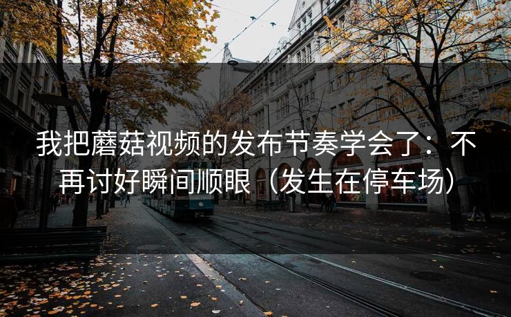 我把蘑菇视频的发布节奏学会了：不再讨好瞬间顺眼（发生在停车场）